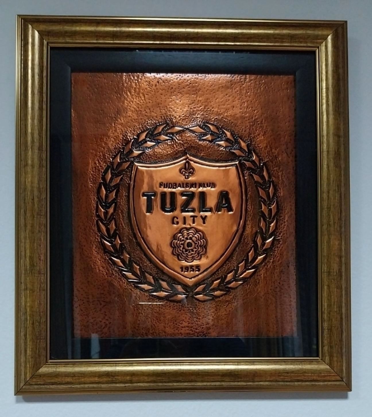 Grb FK Tuzla City, bakar